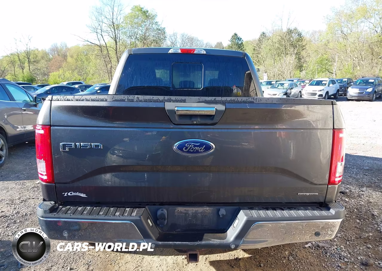 2015 Ford F-150 Xlt VIN:1FTEW1EFXFFA86169 - 16