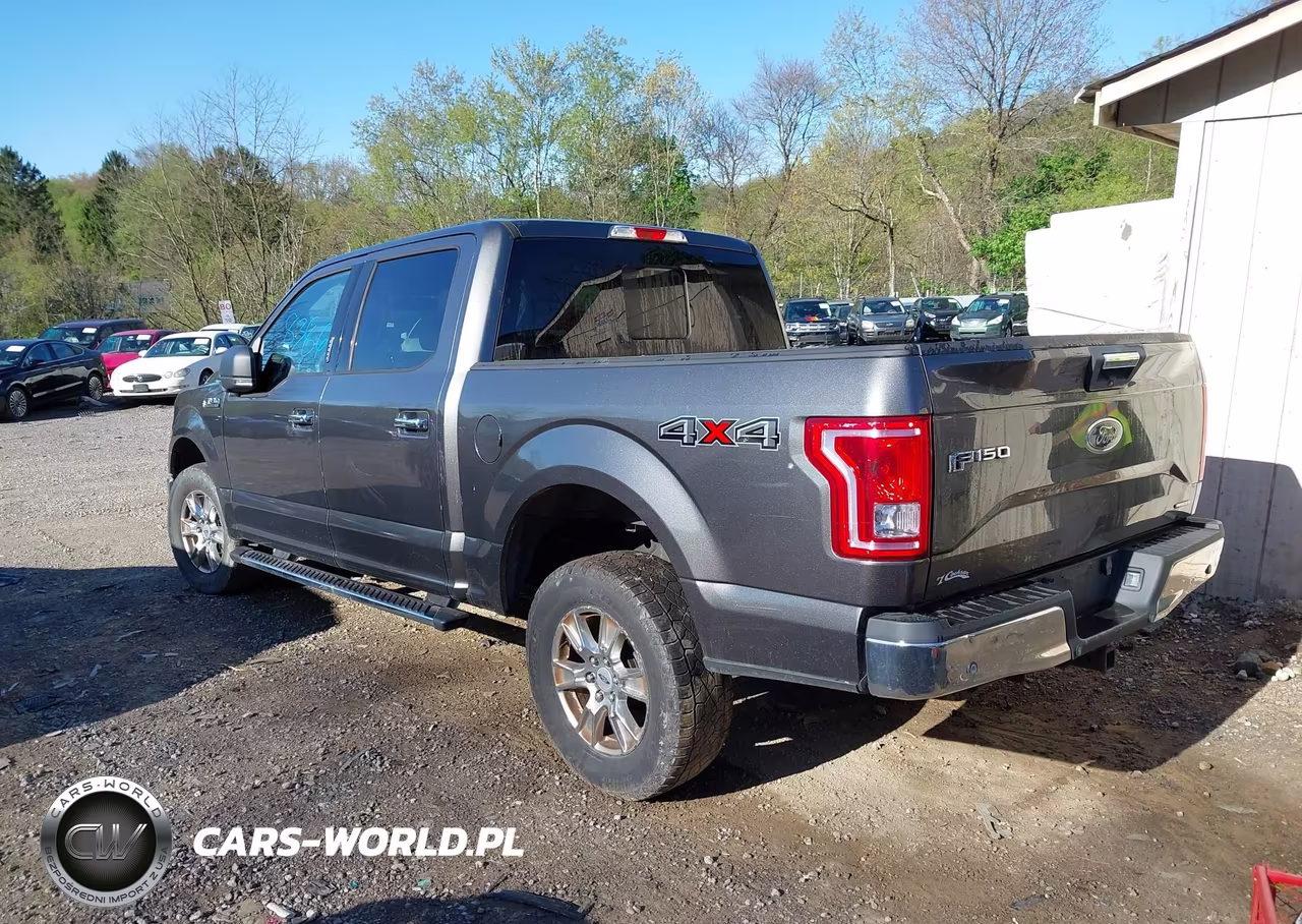 2015 Ford F-150 Xlt VIN:1FTEW1EFXFFA86169 - 3