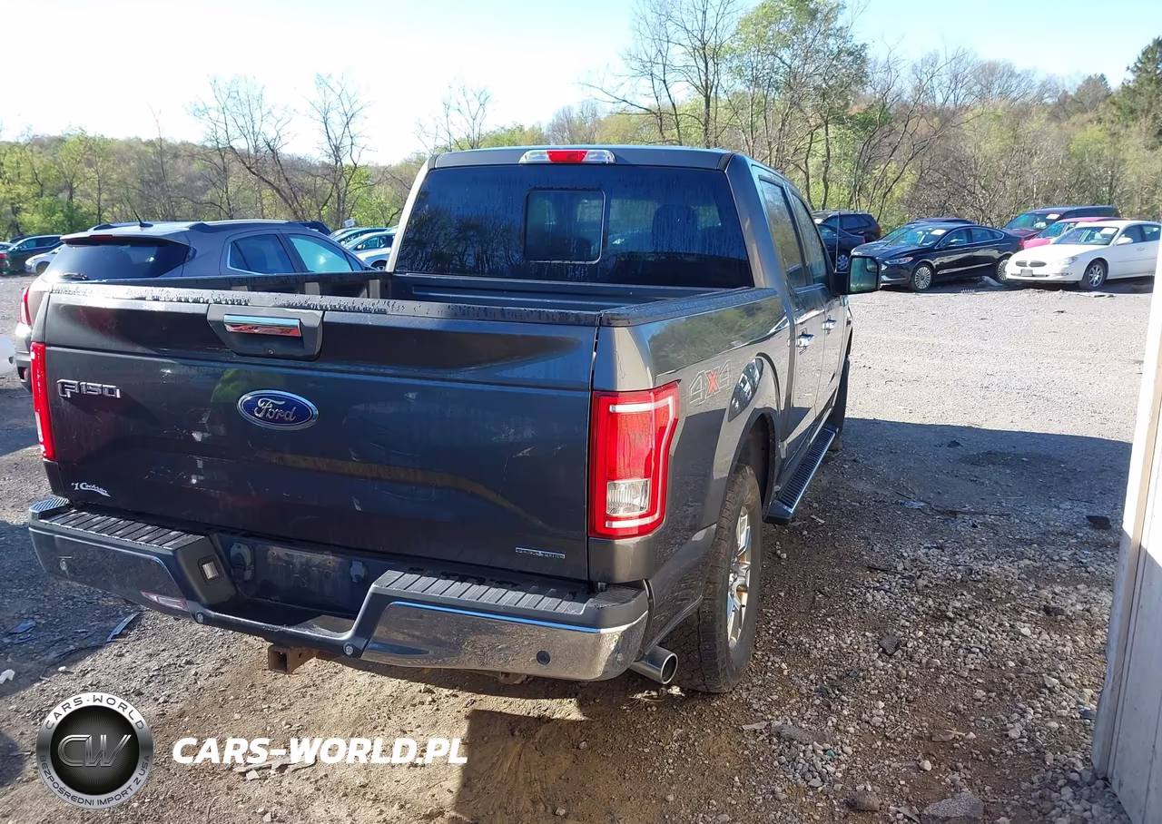 2015 Ford F-150 Xlt VIN:1FTEW1EFXFFA86169 - 4