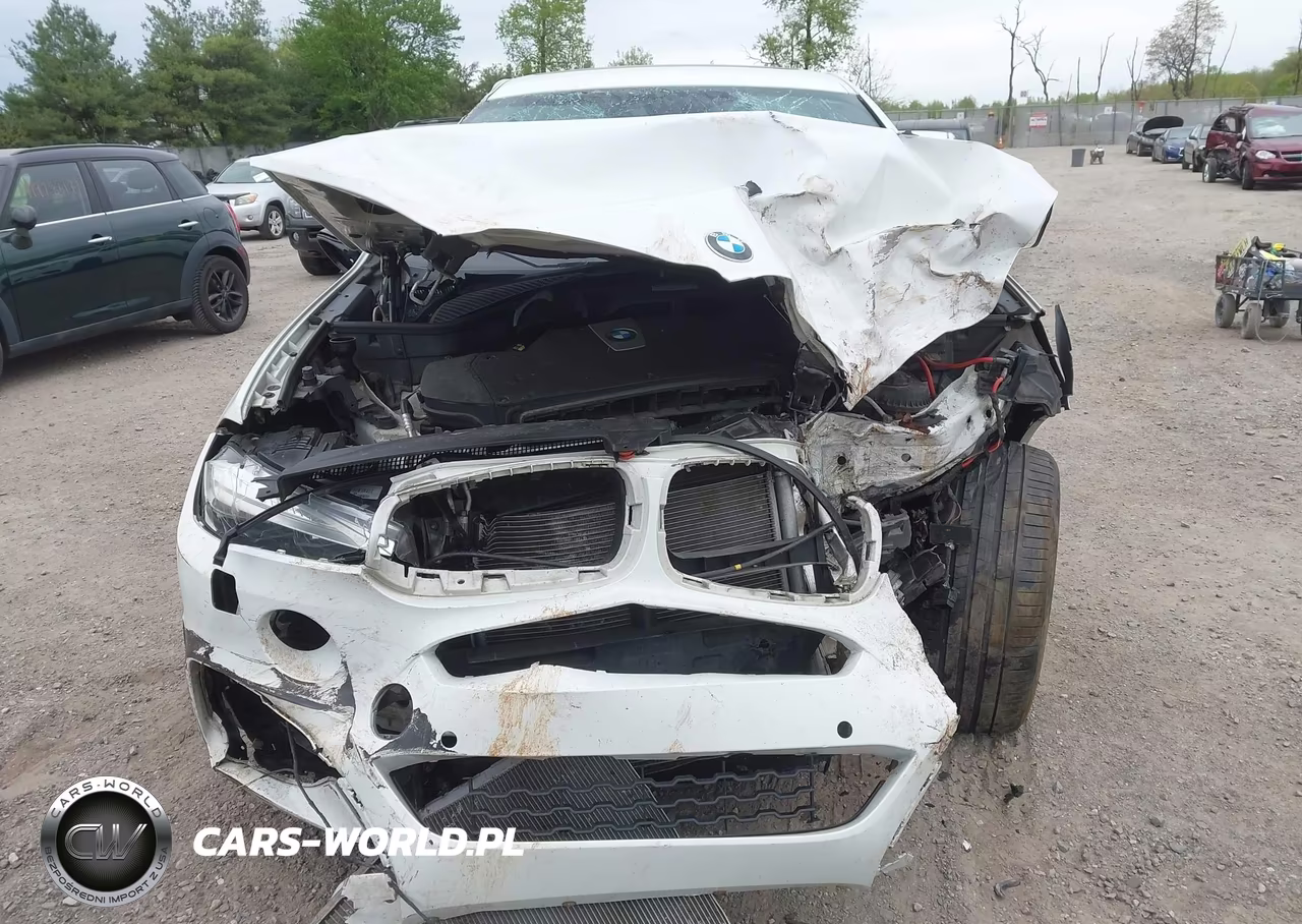 2016 BMW X6 xDrive50I VIN:5UXKU6C50G0R34031 - 12