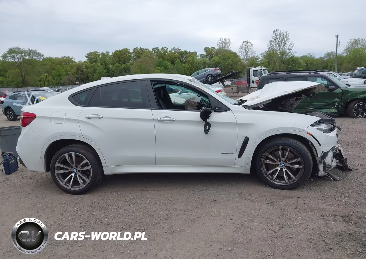 2016 BMW X6 xDrive50I VIN:5UXKU6C50G0R34031 - 13