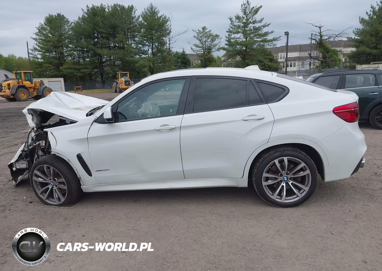 2016 BMW X6 xDrive50I VIN:5UXKU6C50G0R34031 - 14