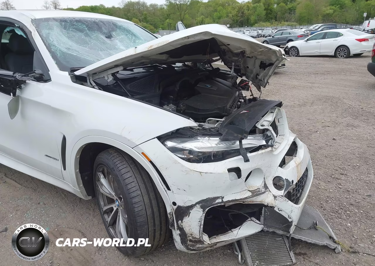 2016 BMW X6 xDrive50I VIN:5UXKU6C50G0R34031 - 17