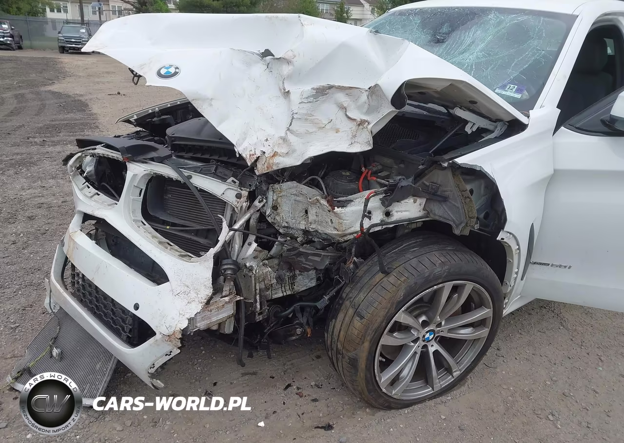 2016 BMW X6 xDrive50I VIN:5UXKU6C50G0R34031 - 18