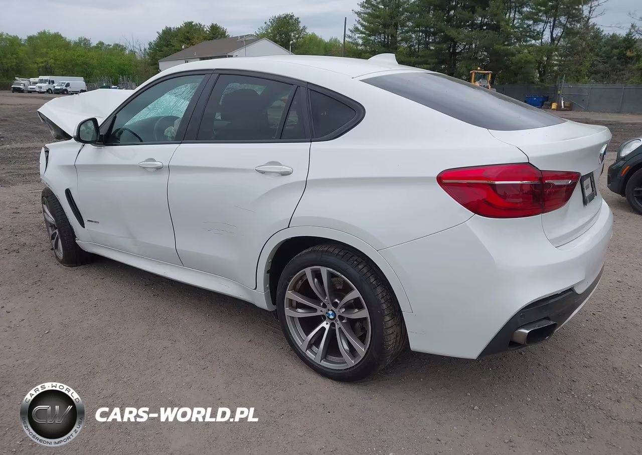 2016 BMW X6 xDrive50I VIN:5UXKU6C50G0R34031 - 3