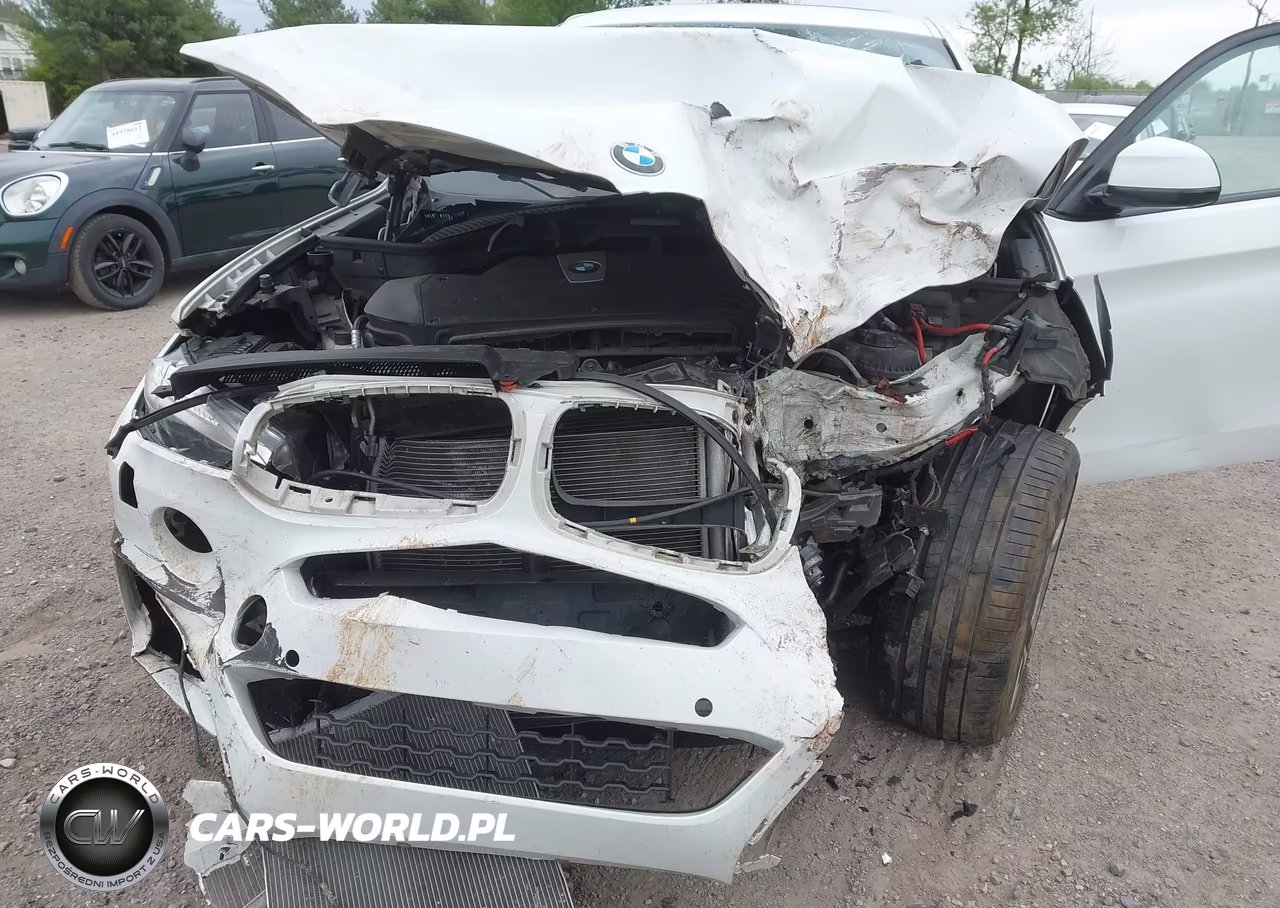 2016 BMW X6 xDrive50I VIN:5UXKU6C50G0R34031 - 6