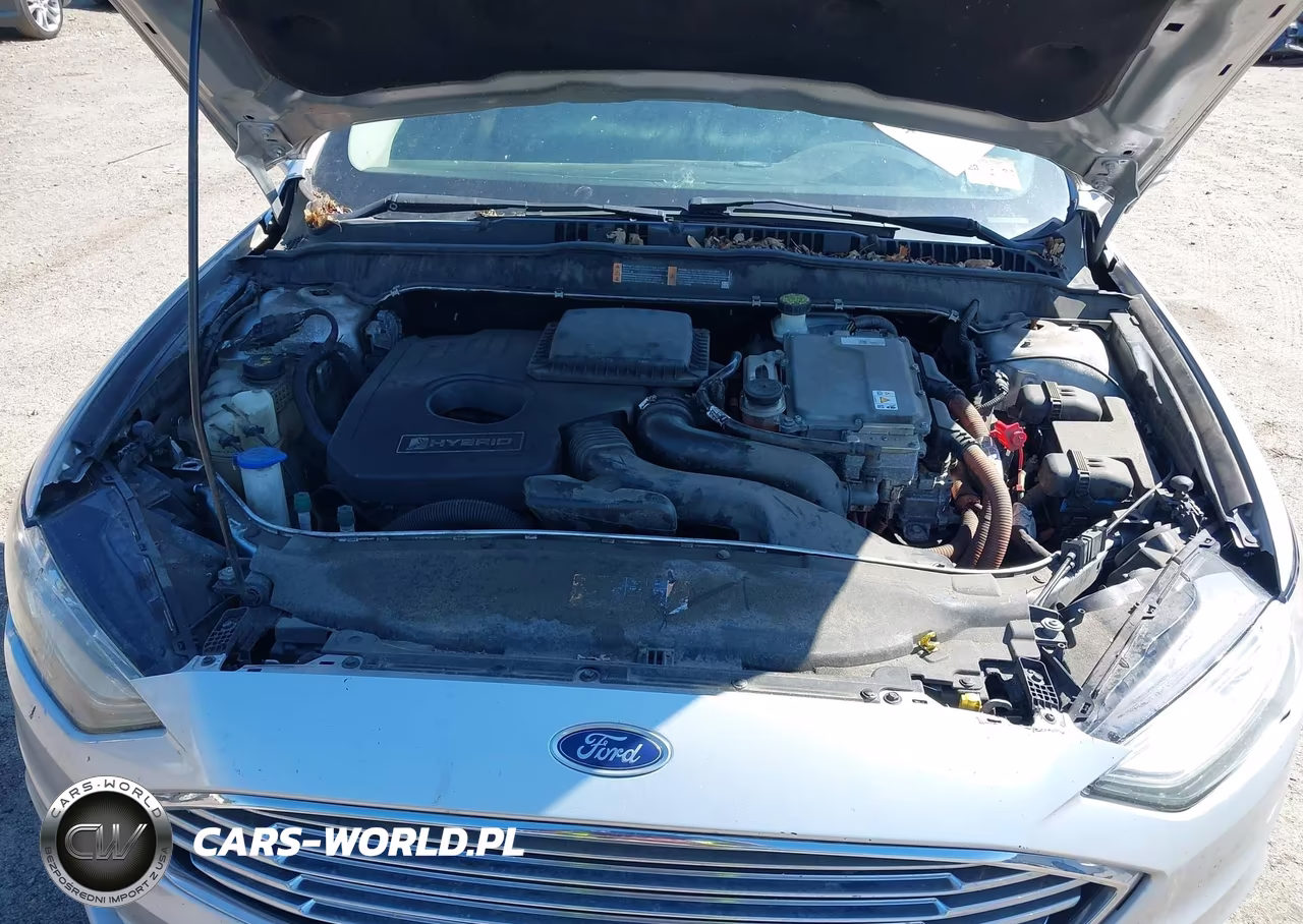 2017 Ford Fusion Hybrid Se VIN:3FA6P0LU4HR302770 - 10
