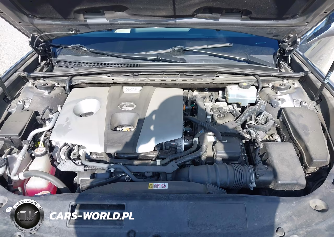 2019 Lexus Es 300H VIN:58AB21B14KU004194 - 10