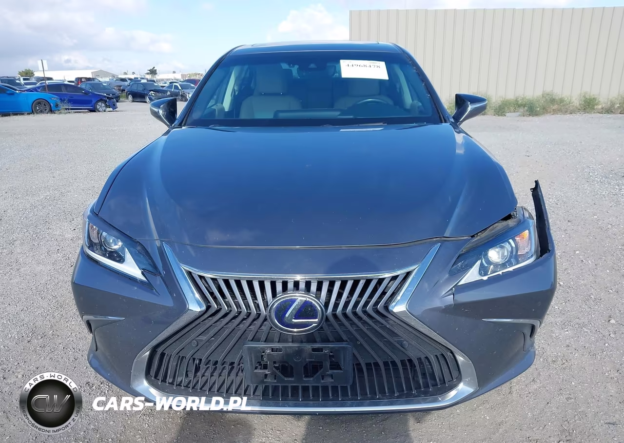 2019 Lexus Es 300H VIN:58AB21B14KU004194 - 12