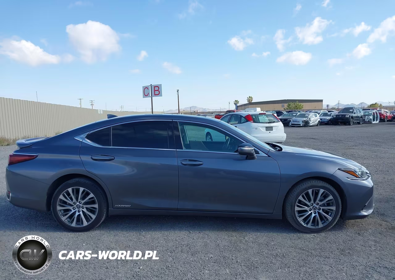 2019 Lexus Es 300H VIN:58AB21B14KU004194 - 13