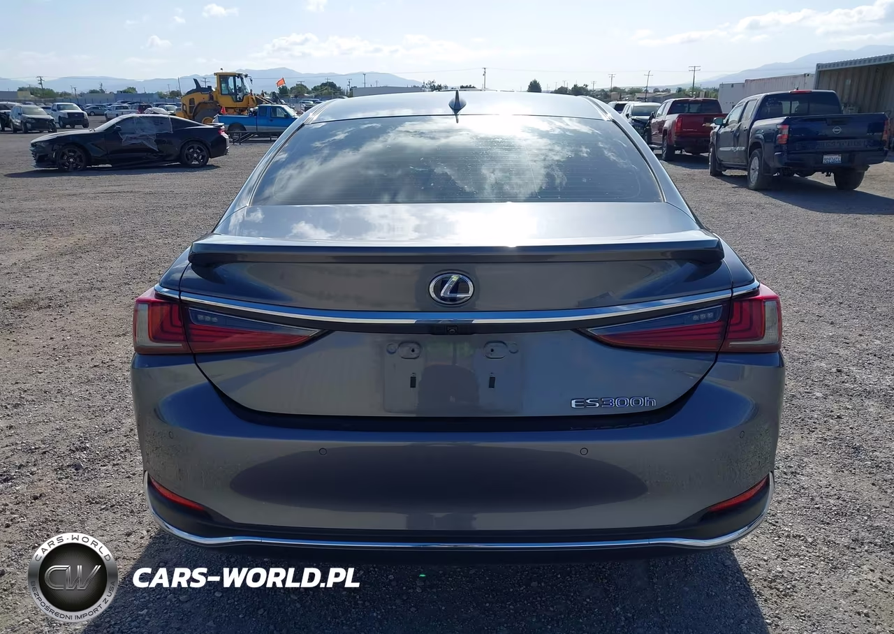 2019 Lexus Es 300H VIN:58AB21B14KU004194 - 16