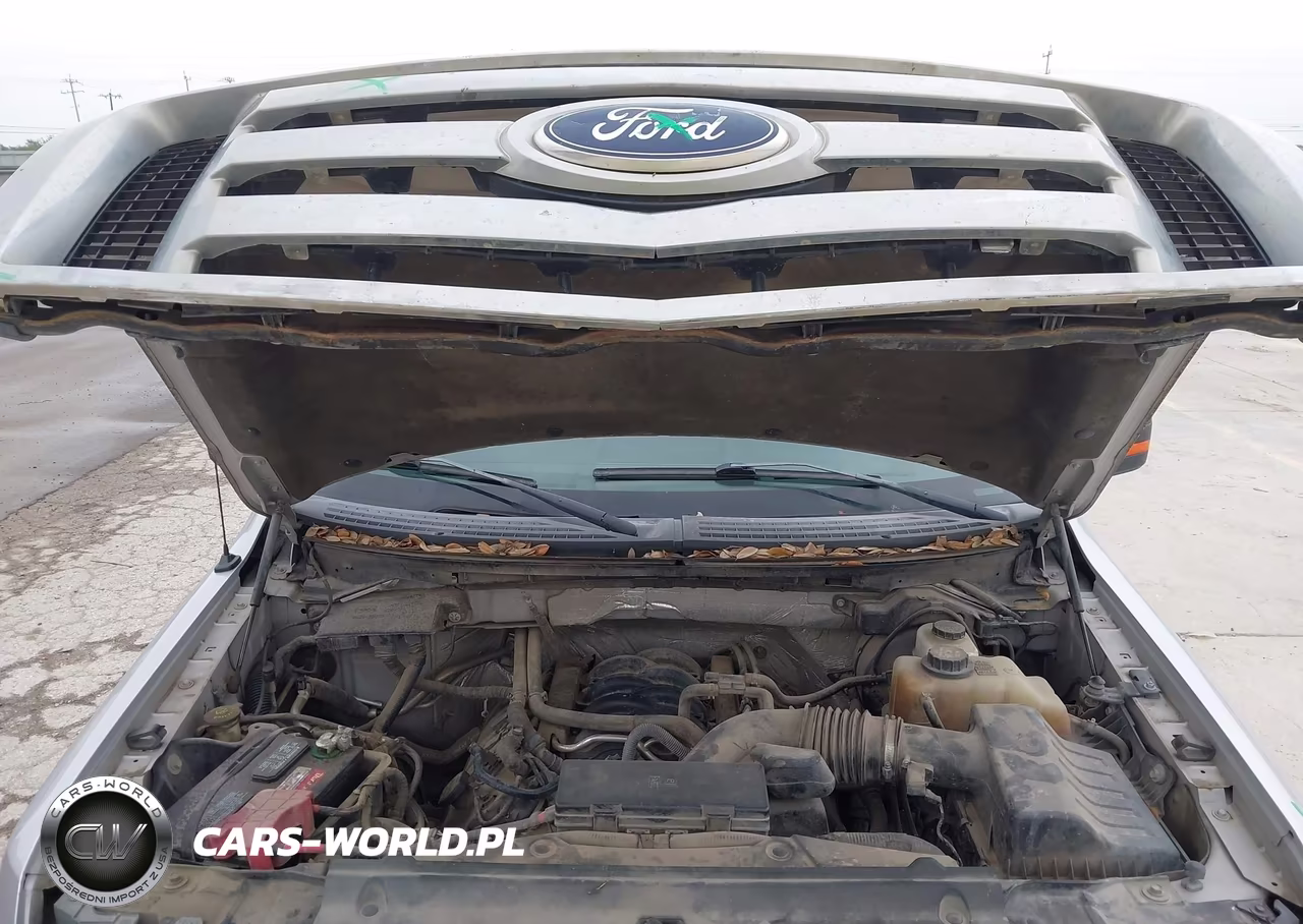 2011 Ford F-150 Xlt VIN:1FTFW1EF0BFC93829 - 10