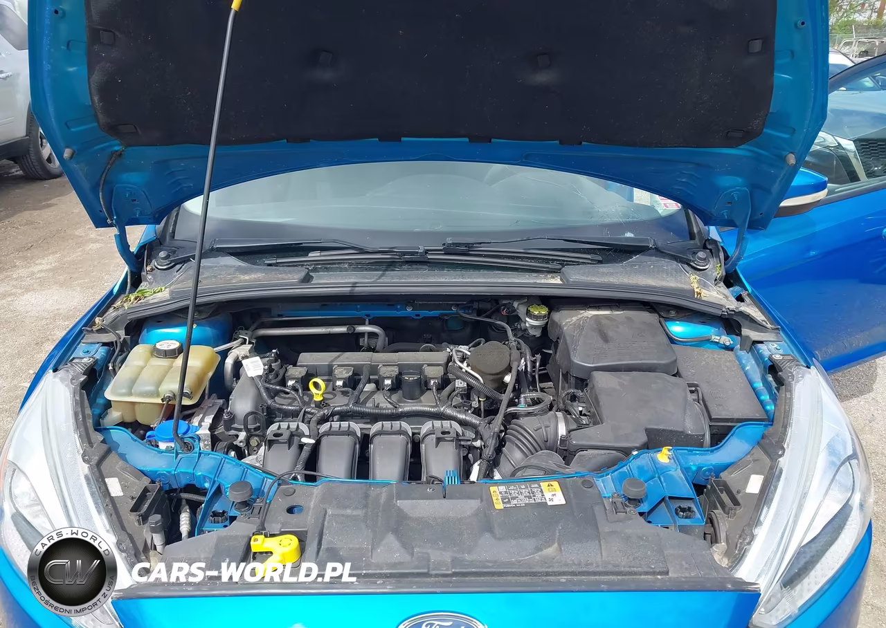 2015 Ford Focus Se VIN:1FADP3K25FL373108 - 10