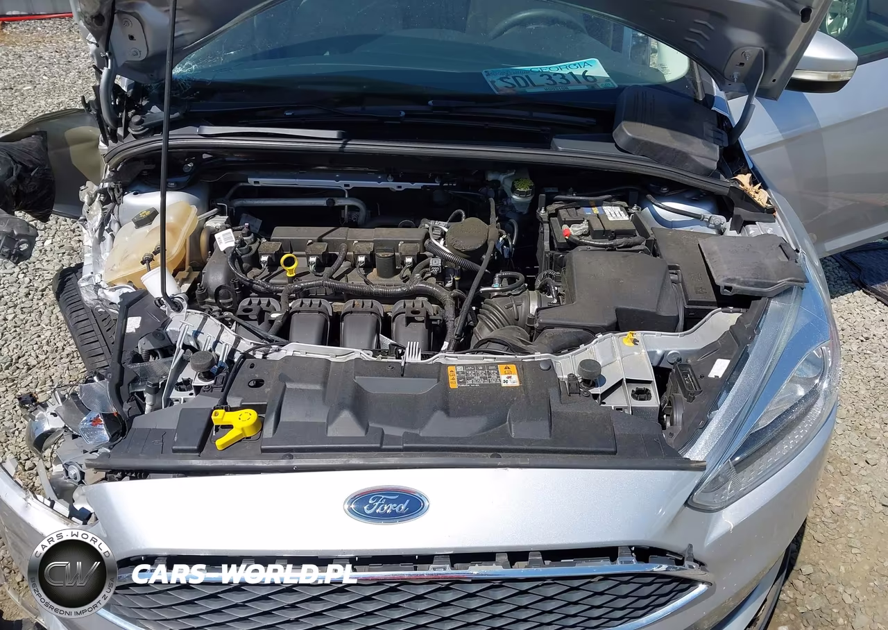 2016 Ford Focus Se VIN:1FADP3F2XGL256345 - 10
