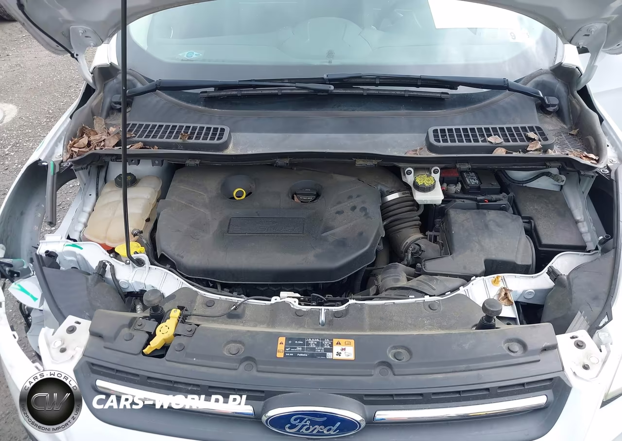2015 Ford Escape Se VIN:1FMCU9G98FUC75025 - 10