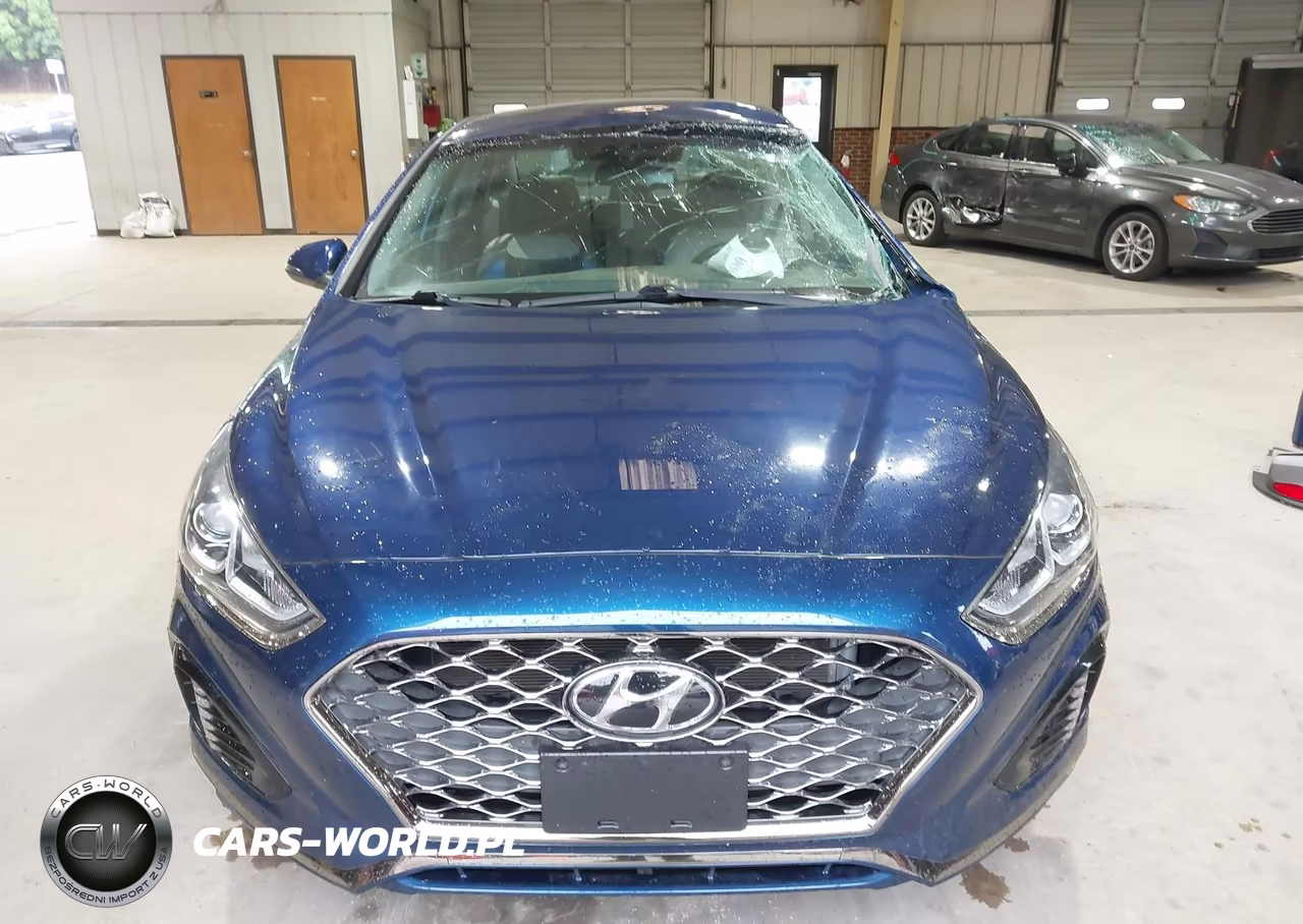 2019 Hyundai Sonata Sel VIN:5NPE34AF5KH804887 - 13