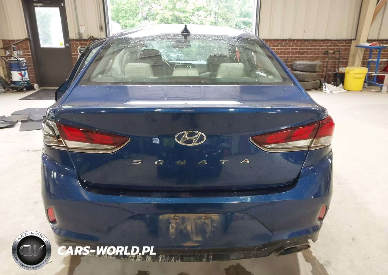 2019 Hyundai Sonata Sel VIN:5NPE34AF5KH804887 - 17