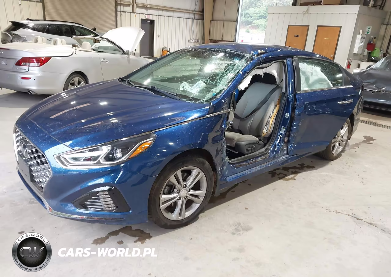 2019 Hyundai Sonata Sel VIN:5NPE34AF5KH804887 - 2