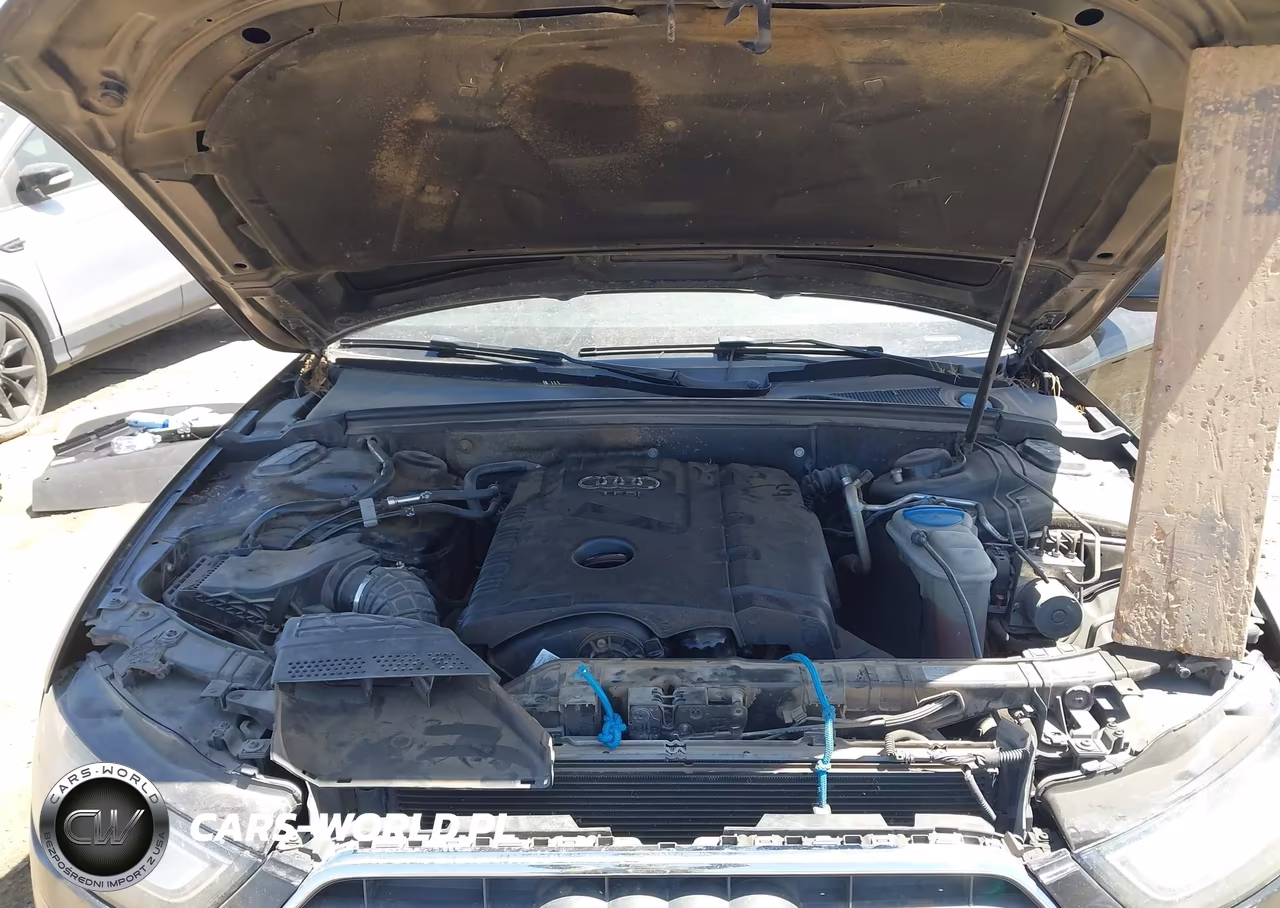 2013 Audi A4 2.0T Premium VIN:WAUEFAFL9DN010219 - 10