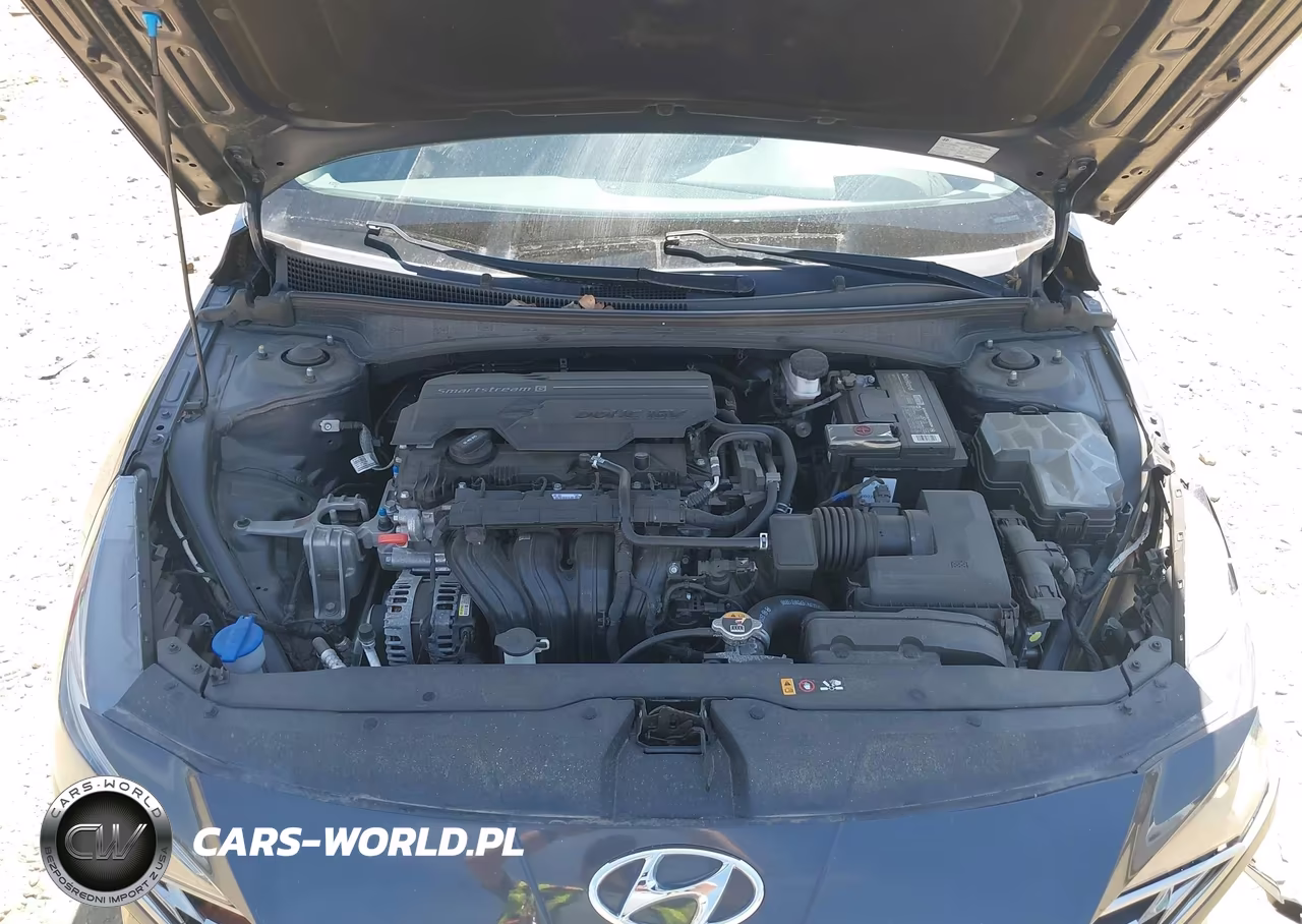 2021 Hyundai Elantra Sel VIN:5NPLN4AG3MH007549 - 10