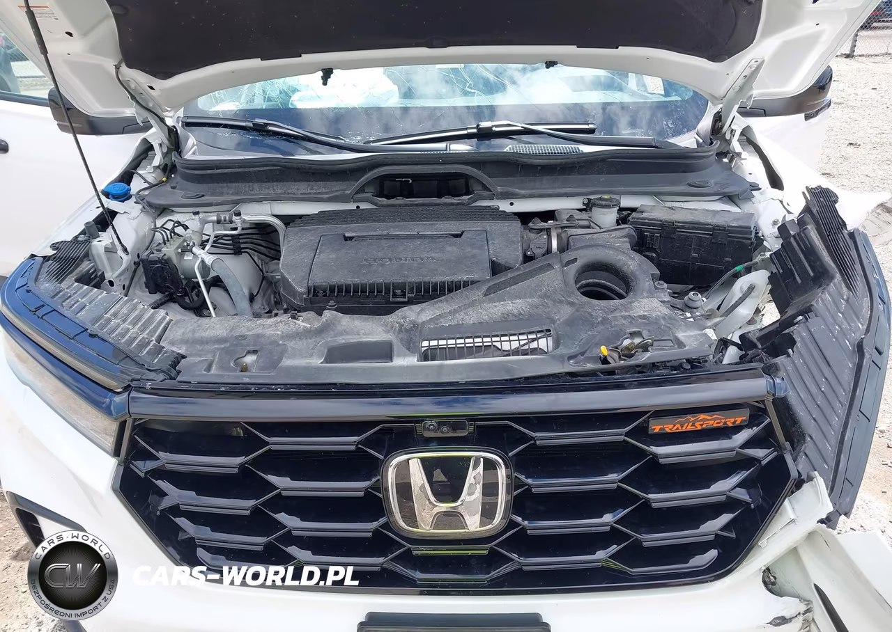 2025 Honda Pilot Trailsport VIN:5FNYG1H67SB061167 - 10