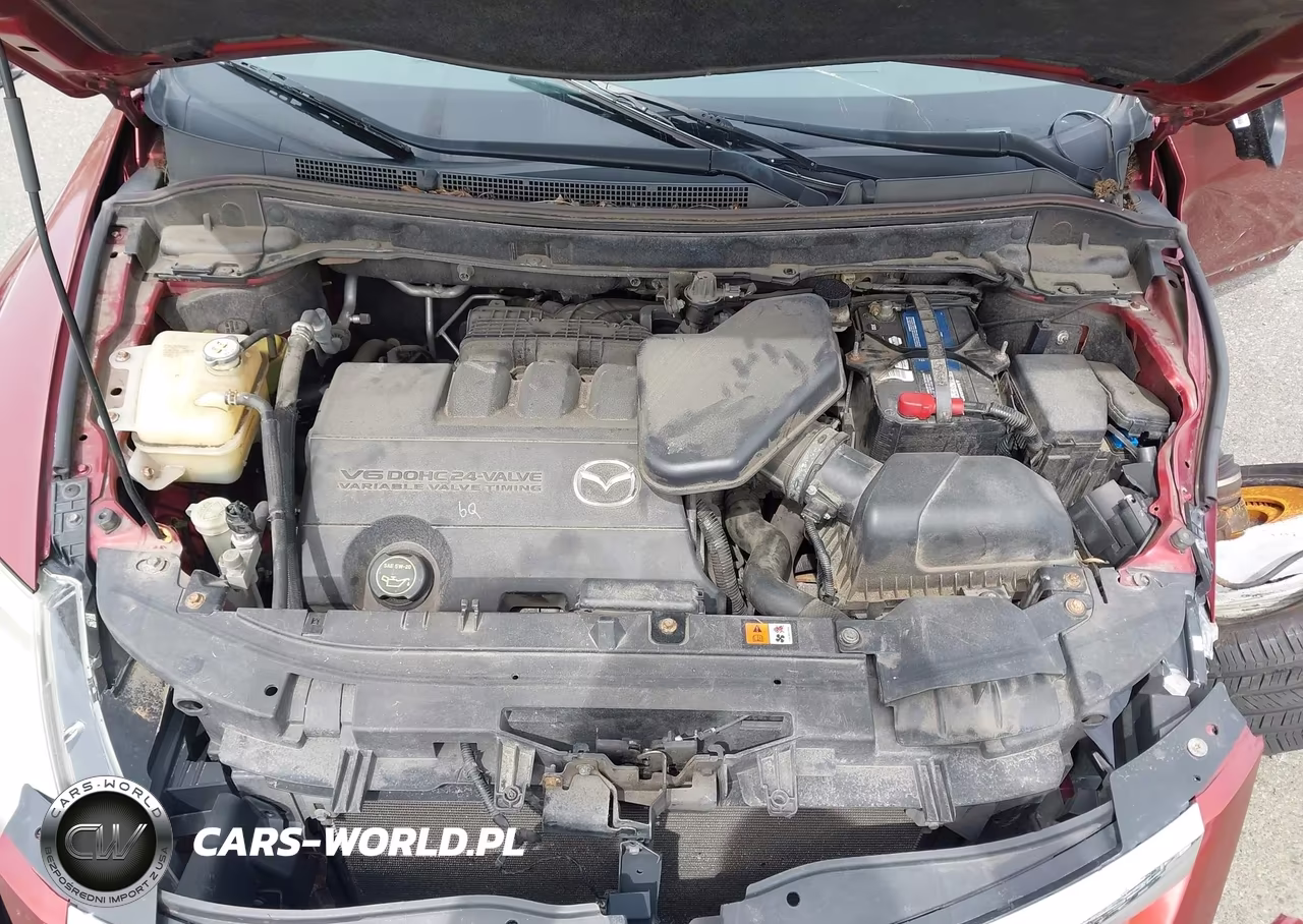 2009 Mazda Cx-9 Sport VIN:JM3TB38V290179445 - 10