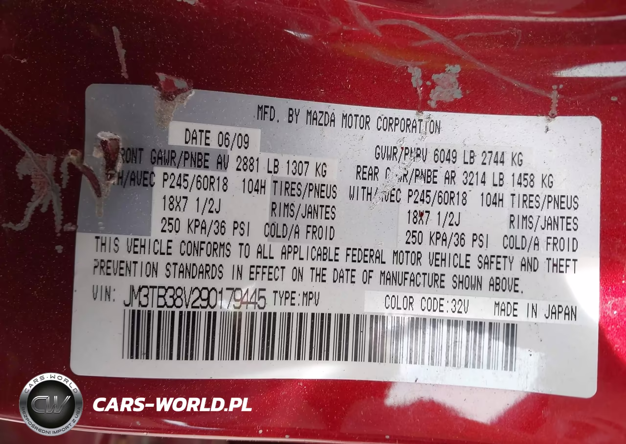 2009 Mazda Cx-9 Sport VIN:JM3TB38V290179445 - 9