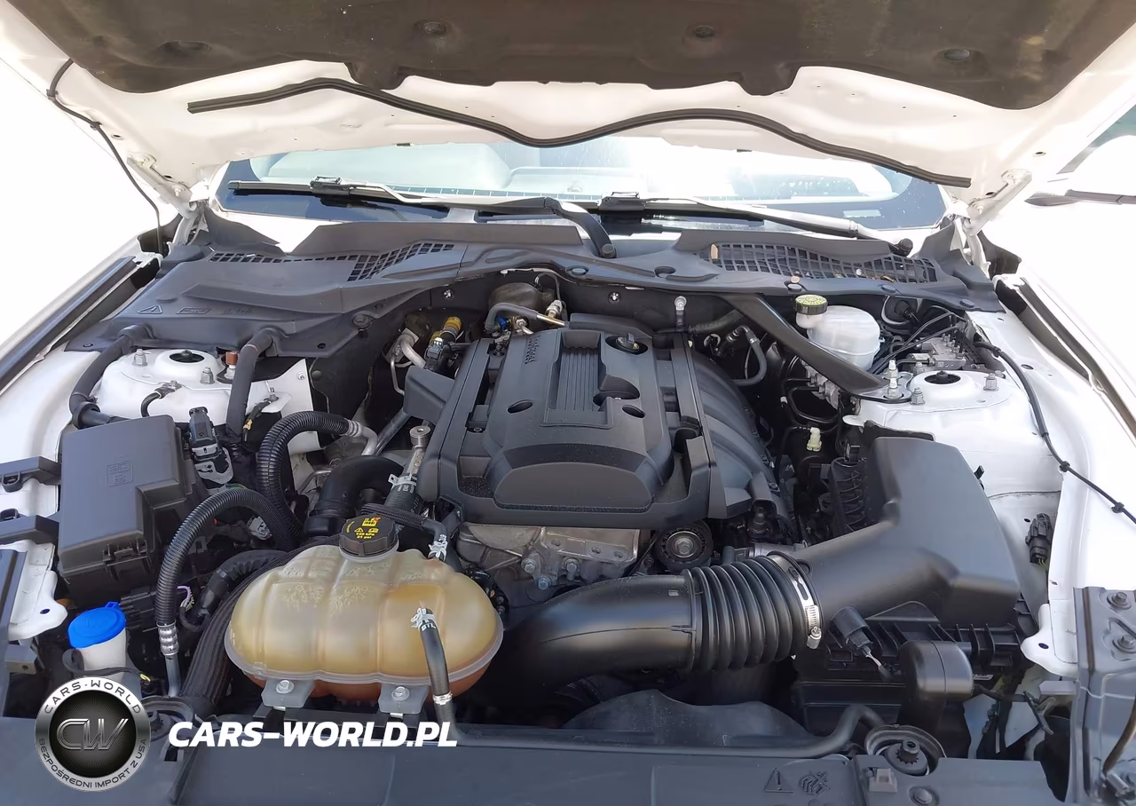 2020 Ford Mustang Ecoboost Premium VIN:1FATP8UH3L5119844 - 10
