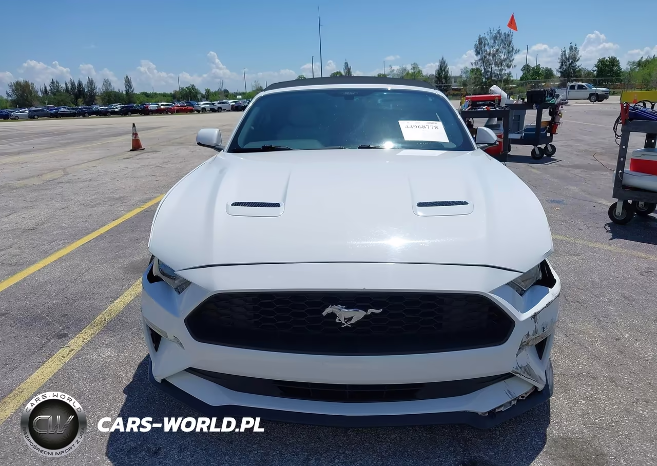 2020 Ford Mustang Ecoboost Premium VIN:1FATP8UH3L5119844 - 12