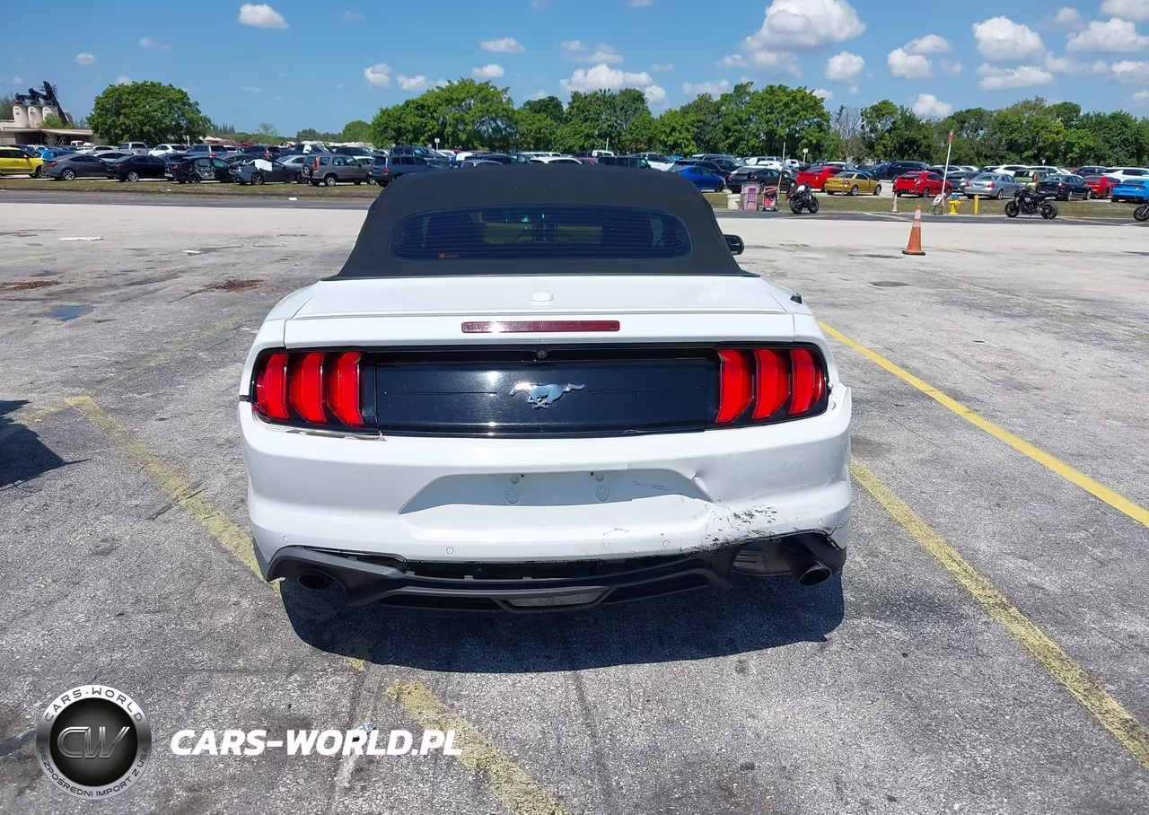2020 Ford Mustang Ecoboost Premium VIN:1FATP8UH3L5119844 - 16