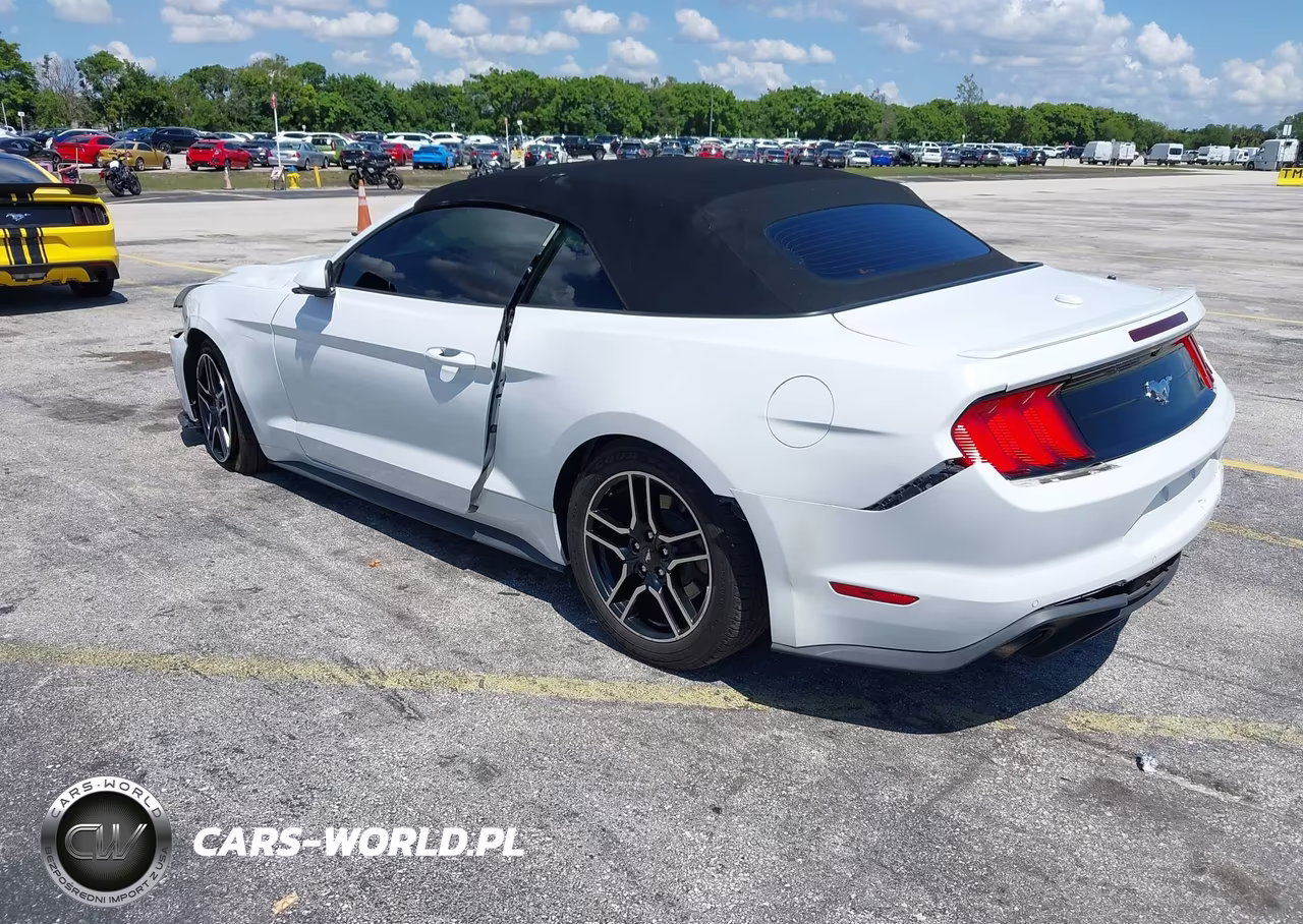 2020 Ford Mustang Ecoboost Premium VIN:1FATP8UH3L5119844 - 3