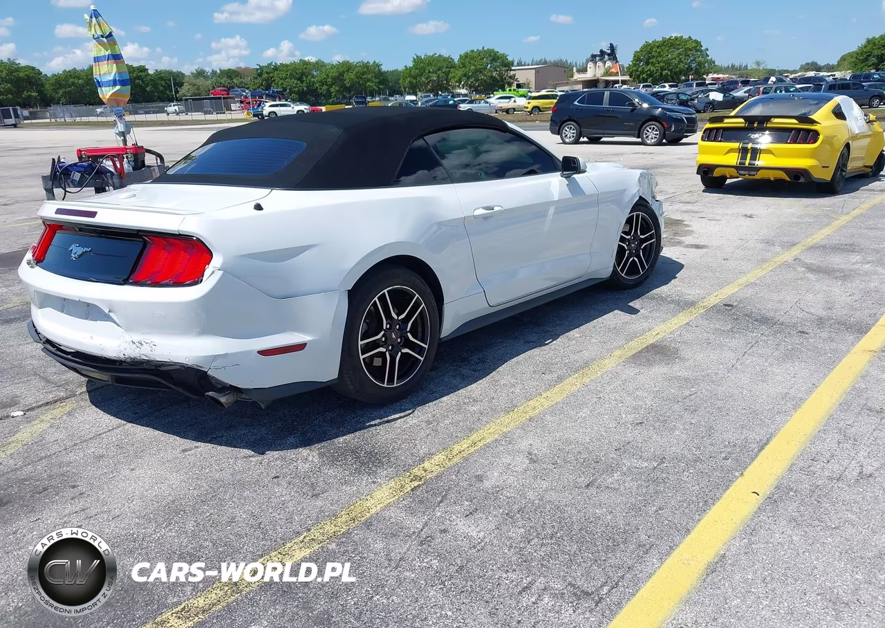 2020 Ford Mustang Ecoboost Premium VIN:1FATP8UH3L5119844 - 4