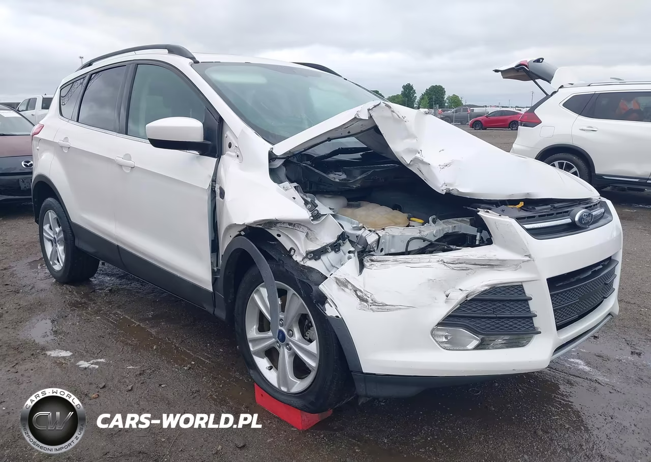 2014 Ford Escape Se