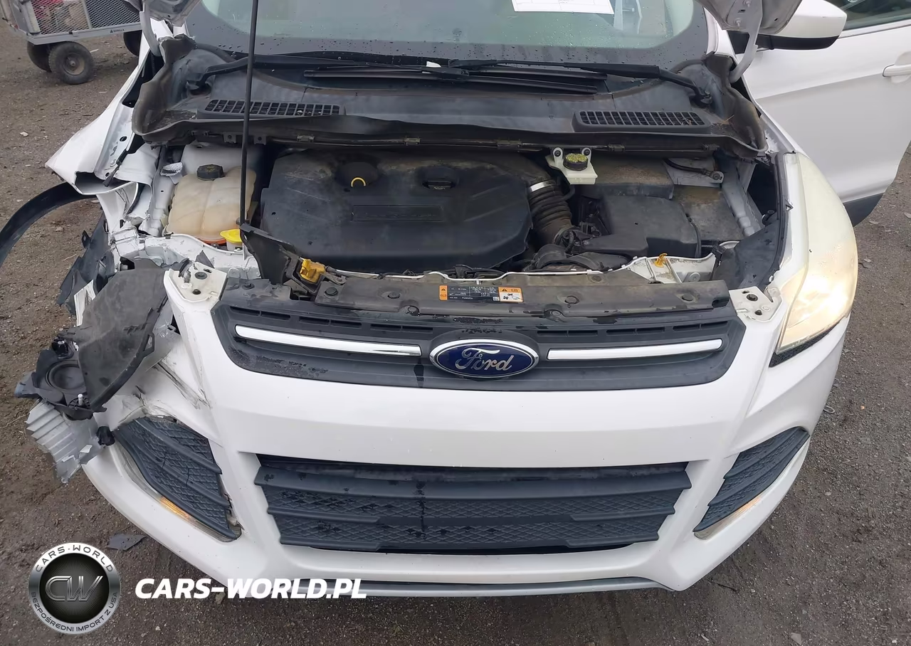 2014 Ford Escape Se VIN:1FMCU0G92EUE20859 - 10