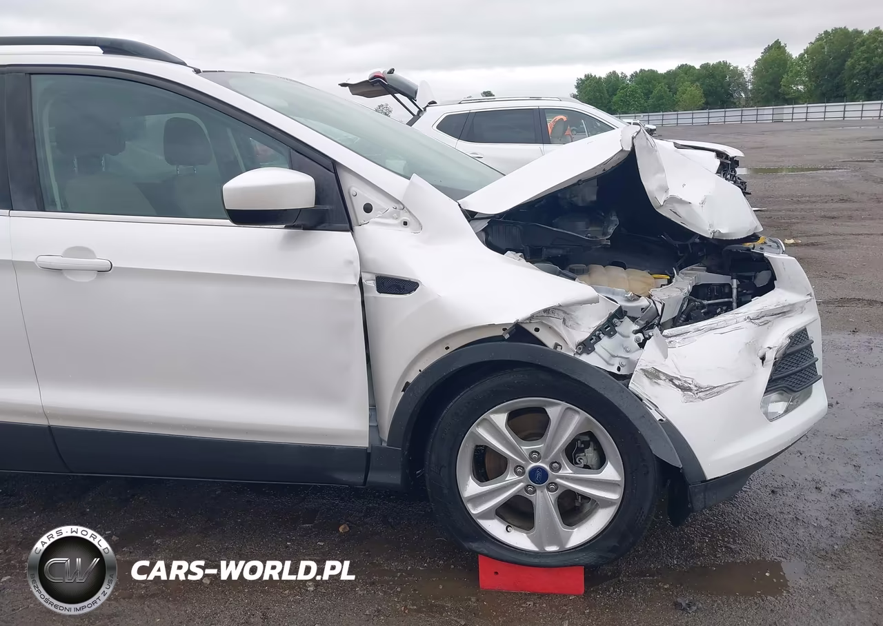2014 Ford Escape Se VIN:1FMCU0G92EUE20859 - 20