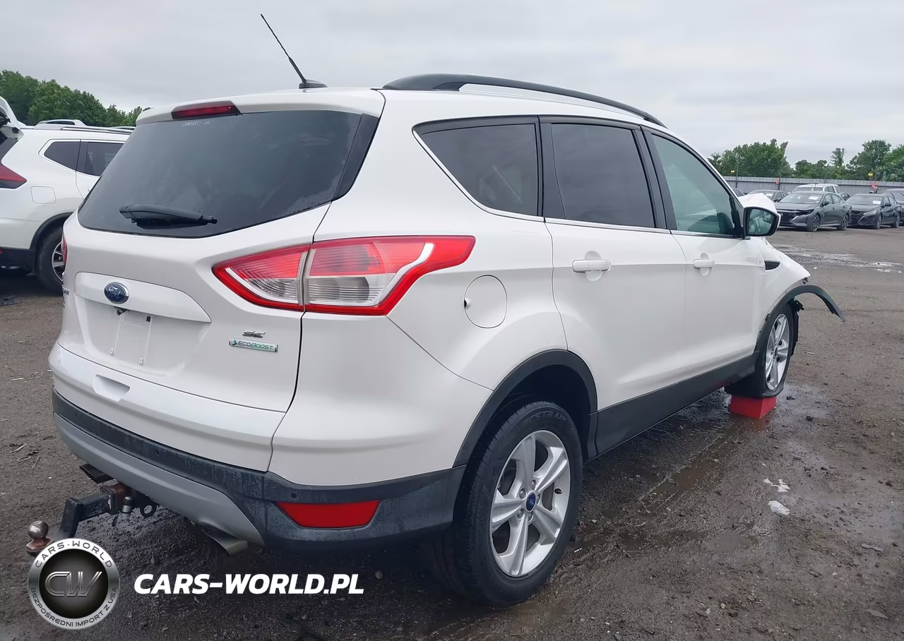 2014 Ford Escape Se VIN:1FMCU0G92EUE20859 - 4