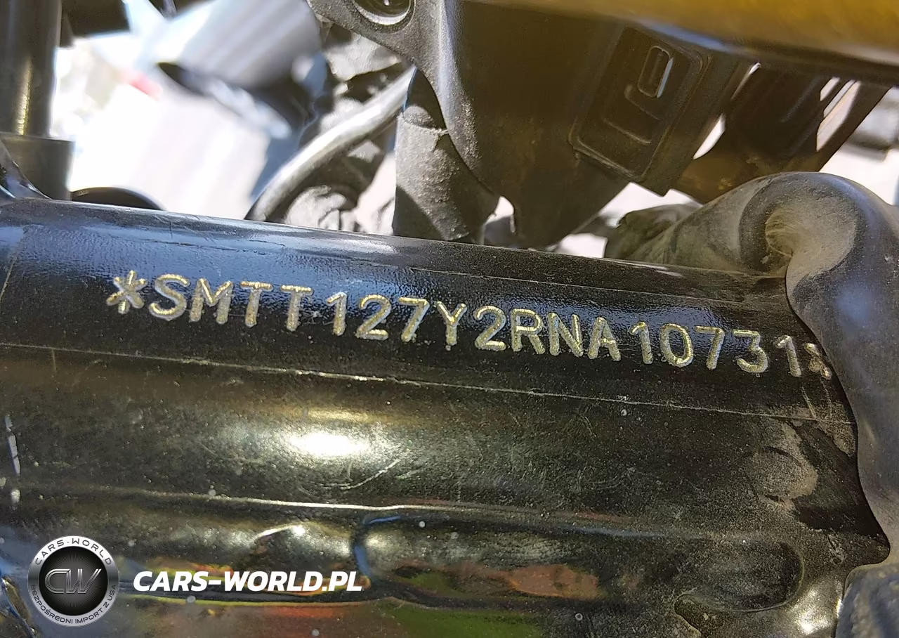 2024 Triumph Motorcycle Speed 400 VIN:SMTT127Y2RNA10731 - 10