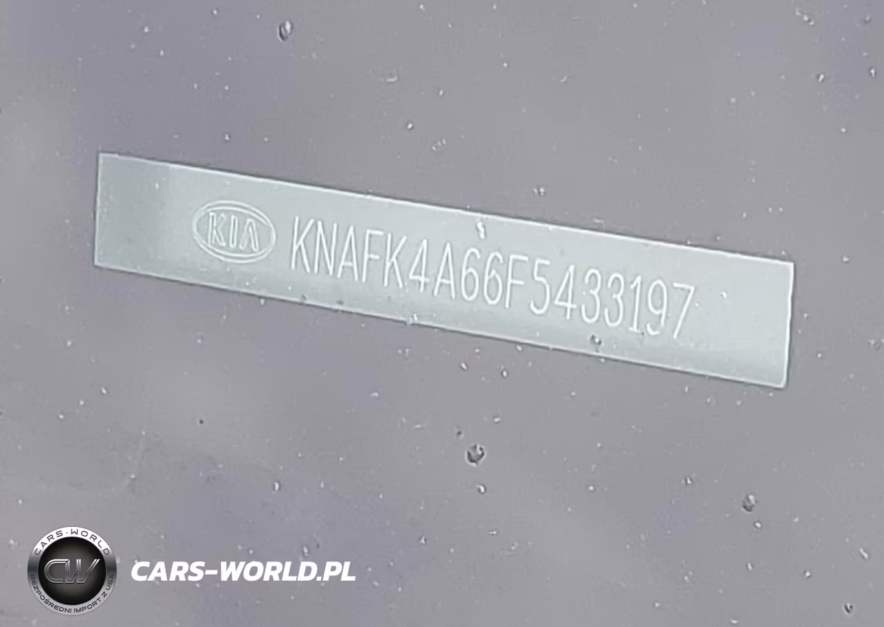 2015 Kia Forte Lx VIN:KNAFK4A66F5433197 - 9