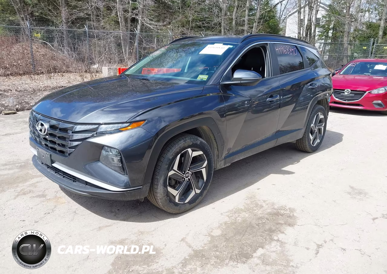 2023 Hyundai Tucson Sel VIN:5NMJFCAE2PH199089 - 2