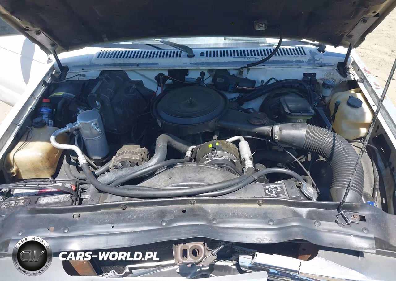 1993 Chevrolet S Truck S10 VIN:1GCCS14R6P8100704 - 10