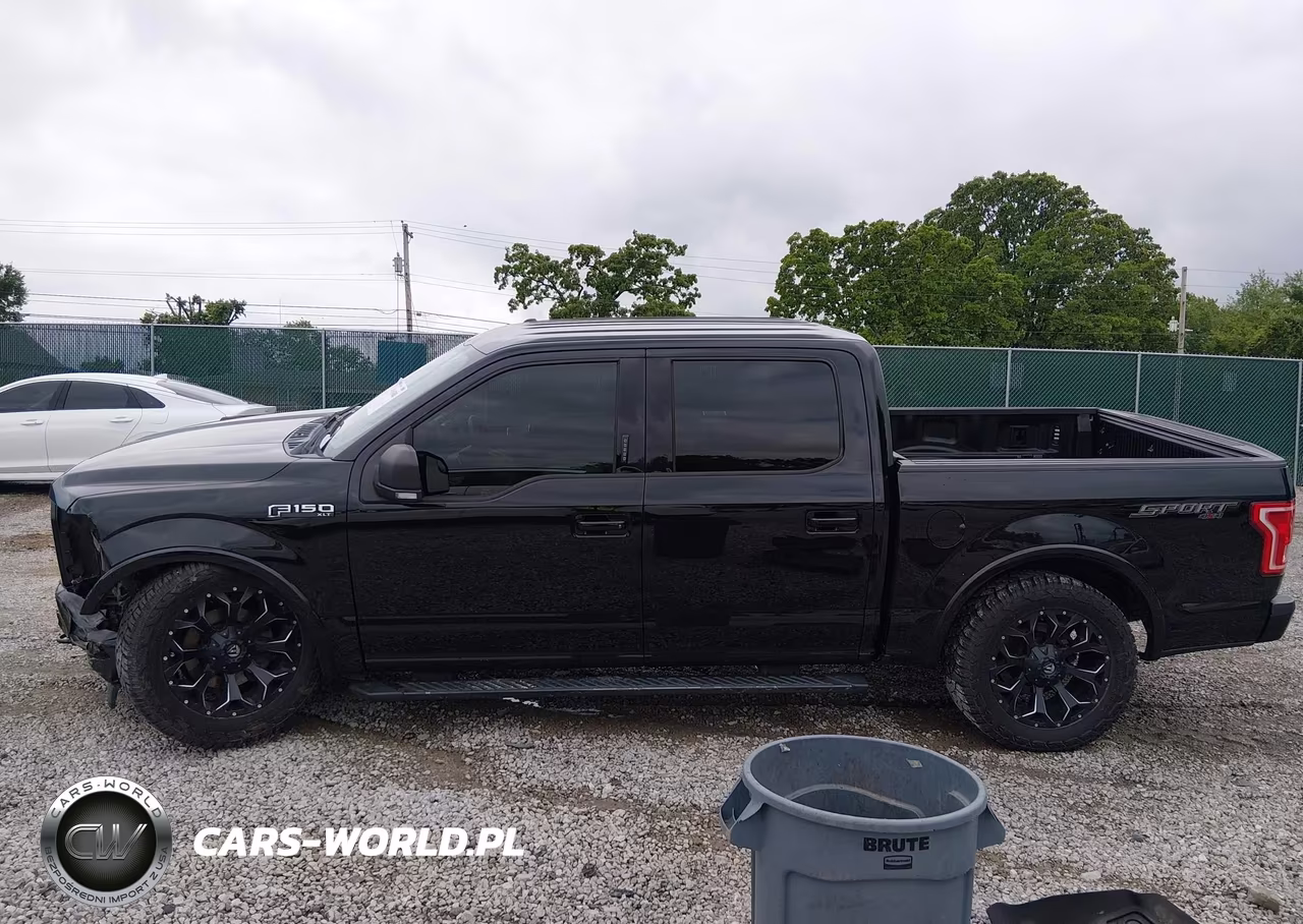 2017 Ford F-150 Xlt VIN:1FTEW1EFXHFA23561 - 14