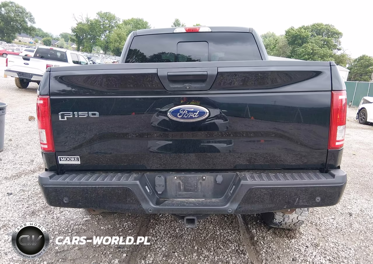 2017 Ford F-150 Xlt VIN:1FTEW1EFXHFA23561 - 16