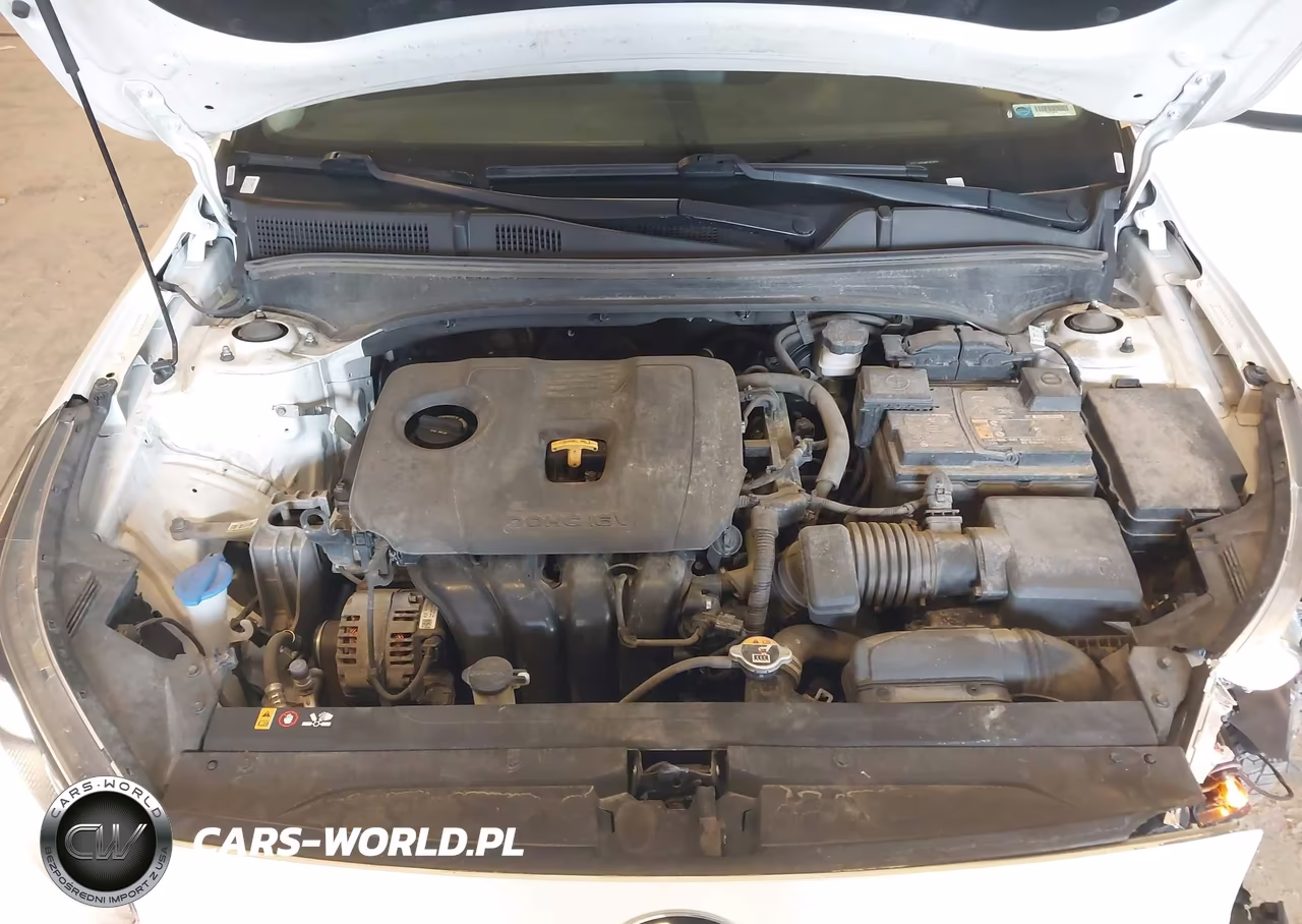 2021 Kia Forte Lxs VIN:3KPF24AD4ME362973 - 10