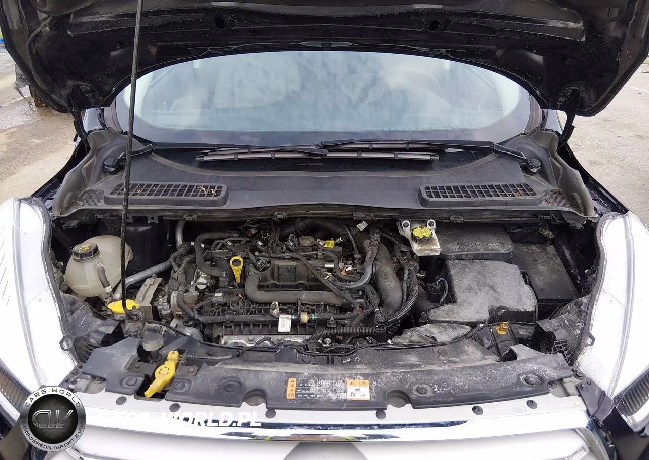 2019 Ford Escape Se VIN:1FMCU0GD5KUB01990 - 10