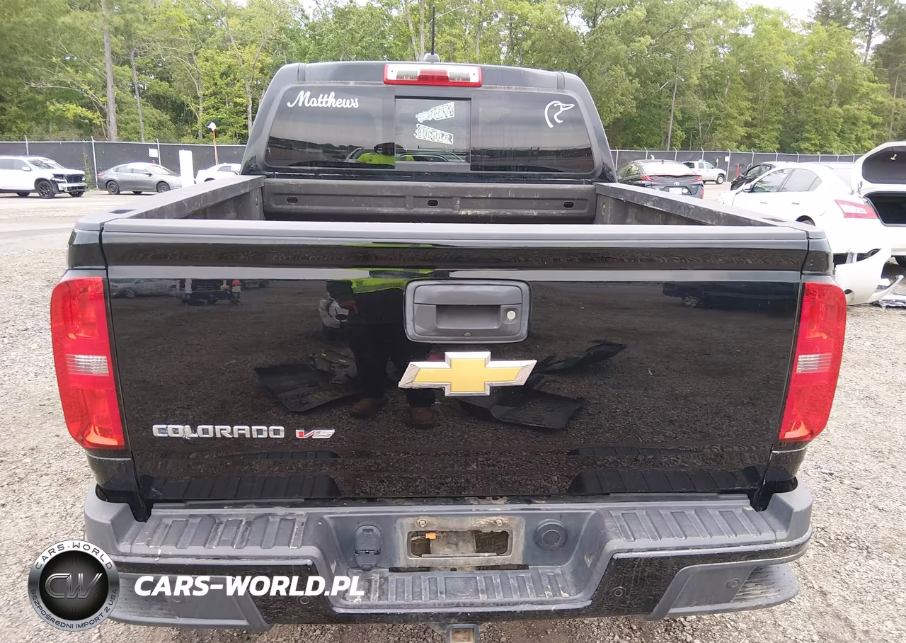 2019 Chevrolet Colorado Z71 VIN:1GCGSDEN4K1251041 - 17