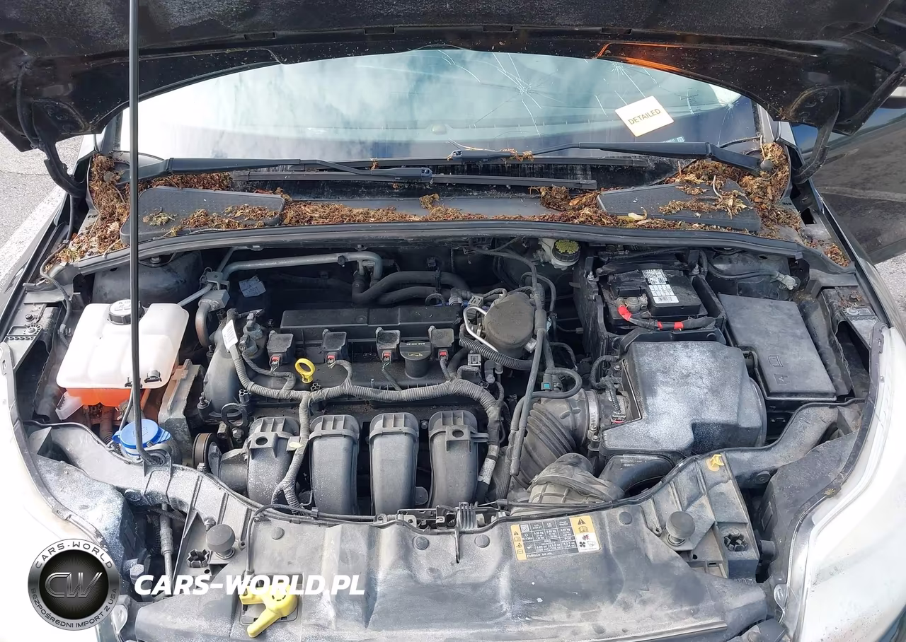 2014 Ford Focus Se VIN:1FADP3F26EL286343 - 10