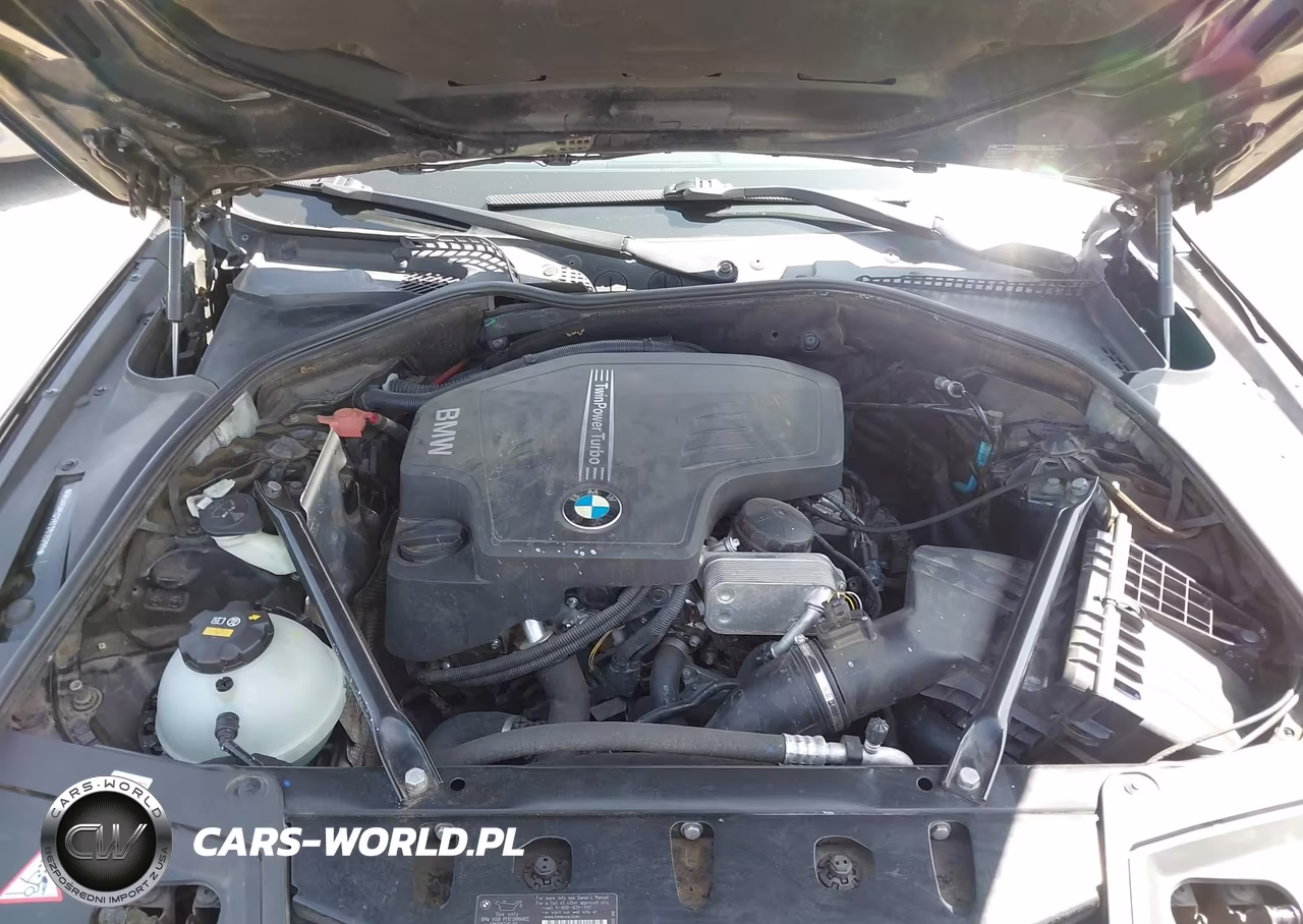 2015 BMW 528I VIN:WBA5A5C5XFD515299 - 10