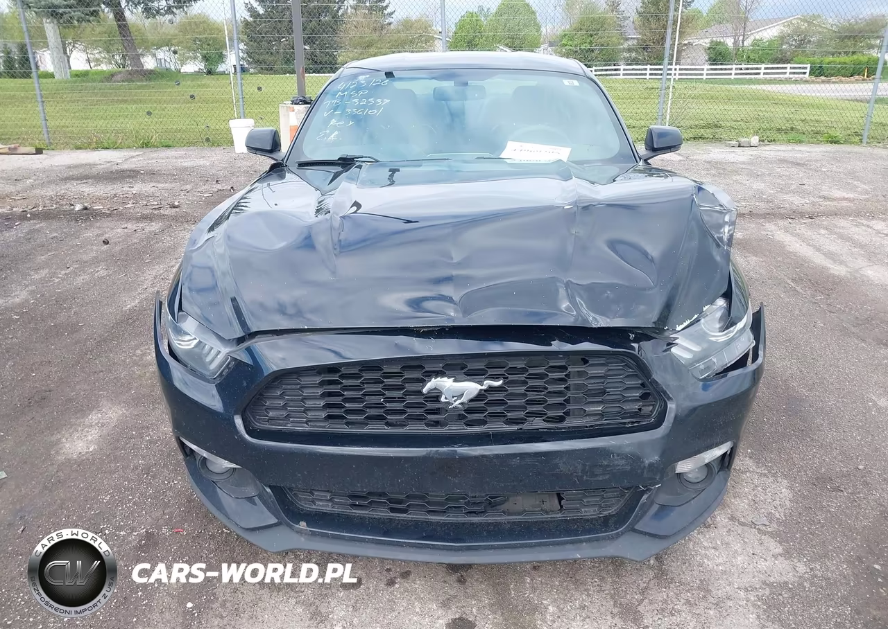 2016 Ford Mustang Ecoboost VIN:1FA6P8TH6G5336101 - 12