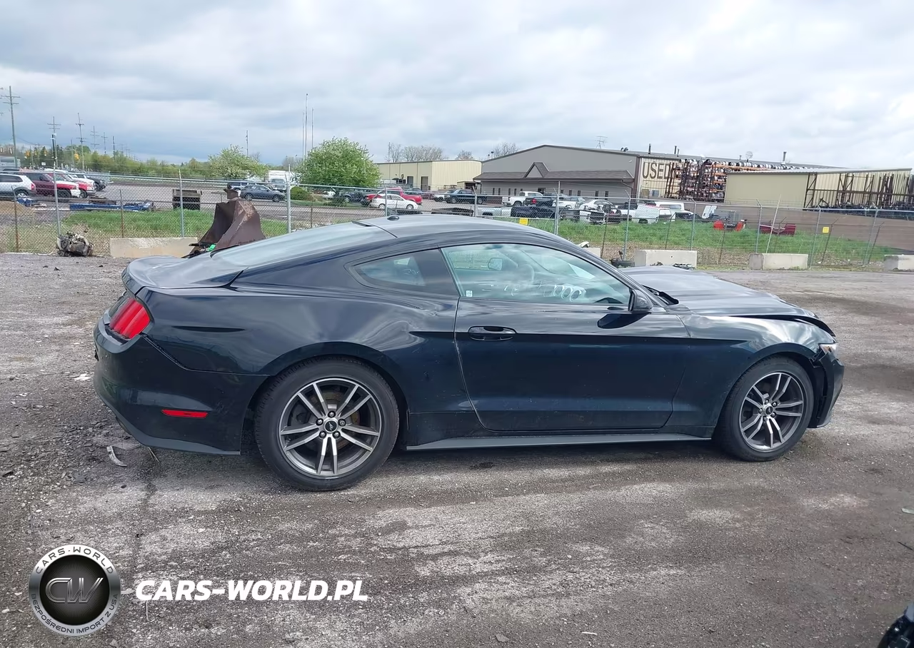 2016 Ford Mustang Ecoboost VIN:1FA6P8TH6G5336101 - 13