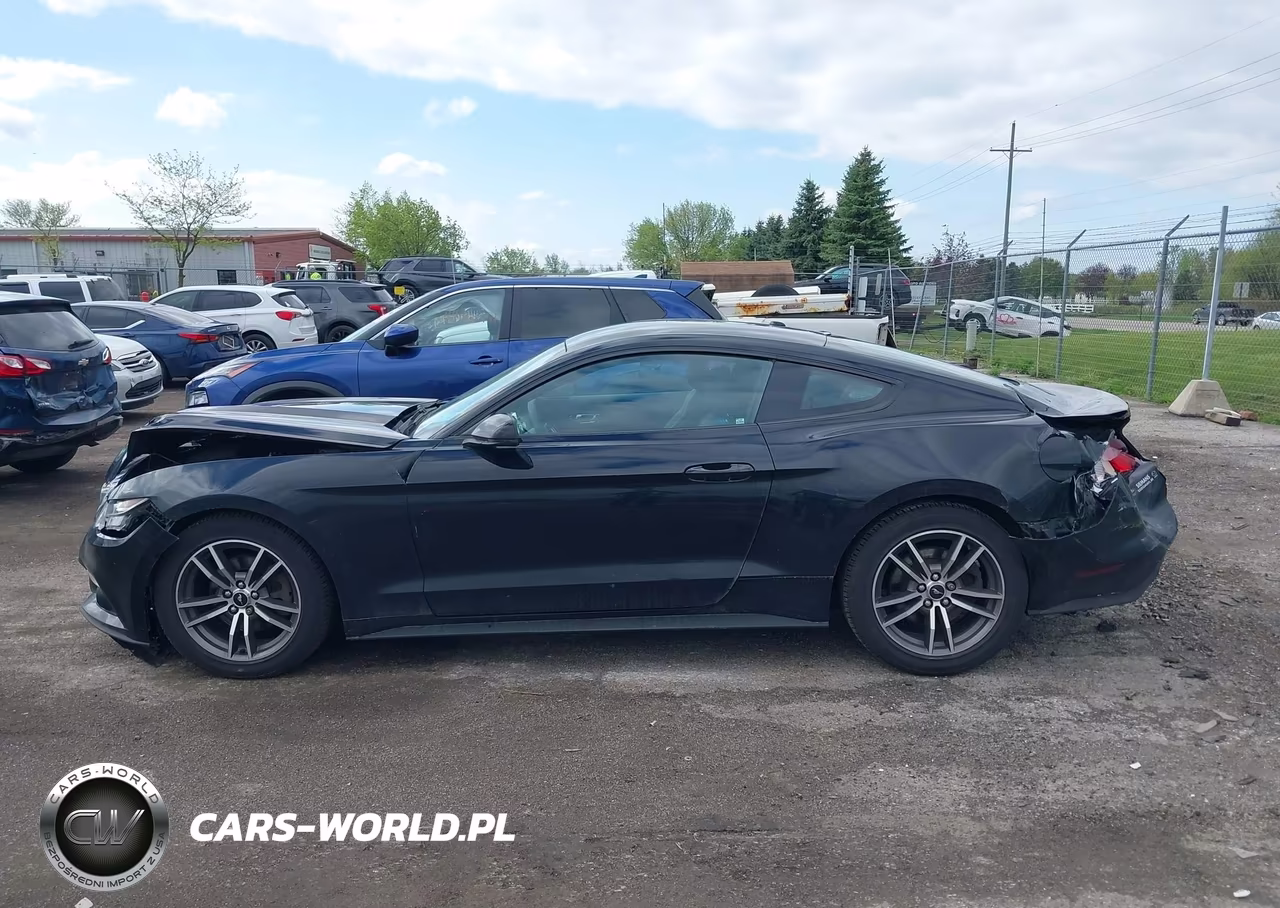 2016 Ford Mustang Ecoboost VIN:1FA6P8TH6G5336101 - 14